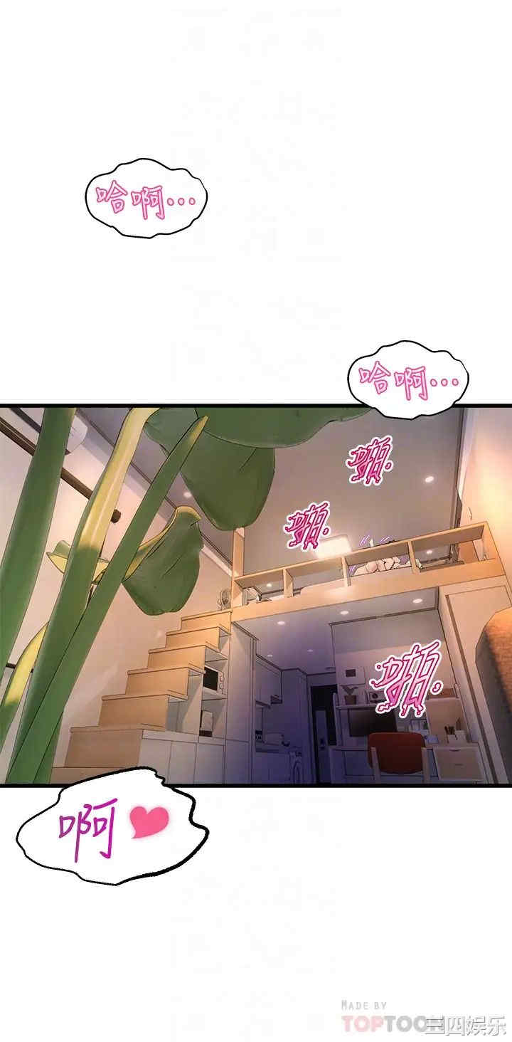 第6张