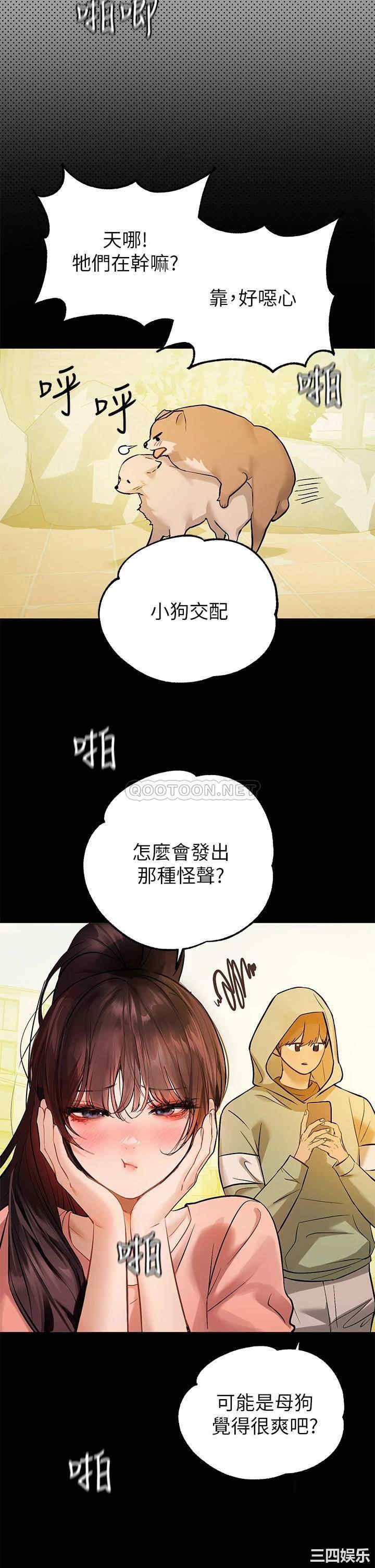 第38张