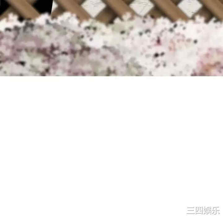 第88张