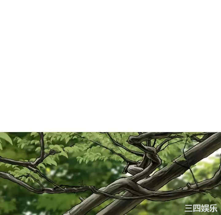 第148张