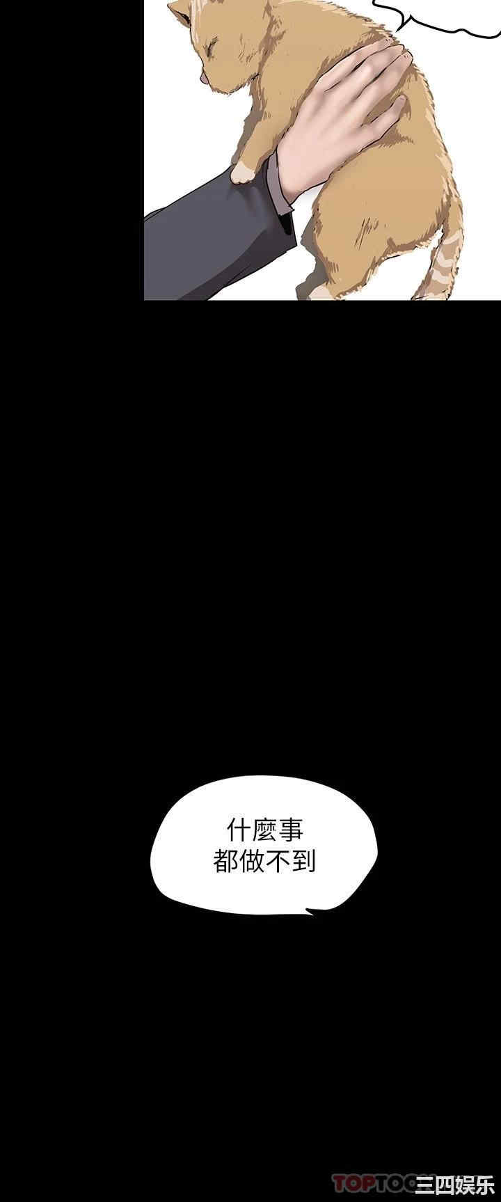 第11张