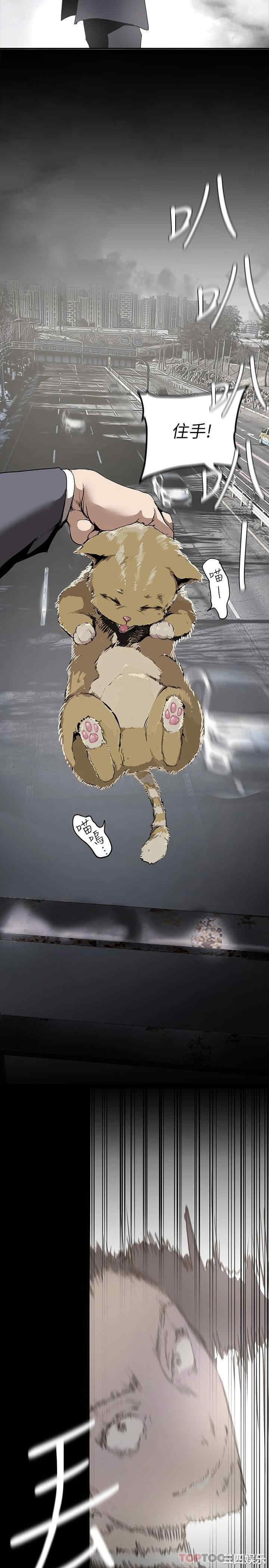 第13张