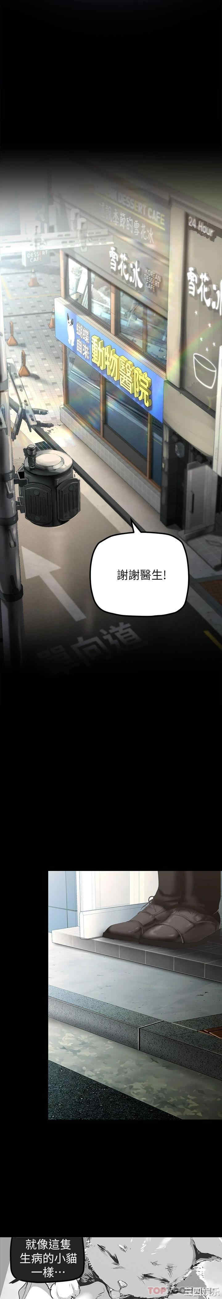 第21张