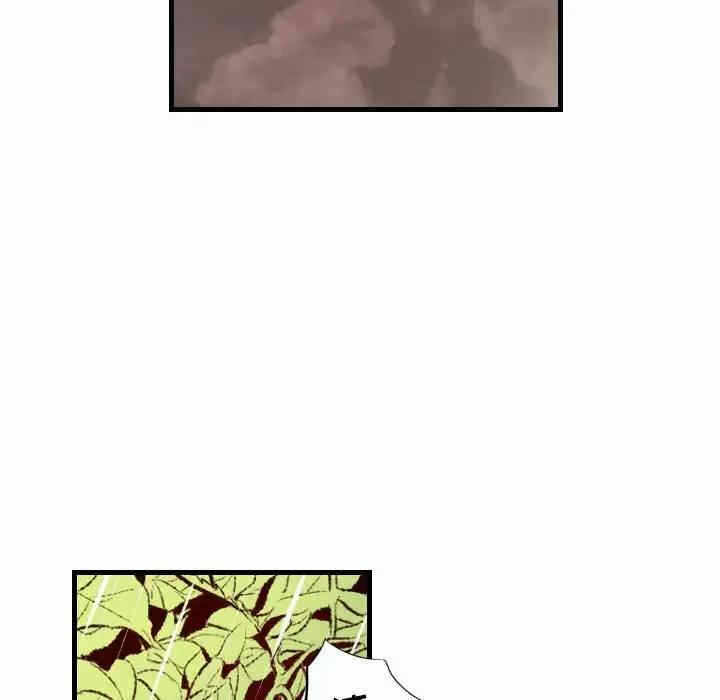 第78张
