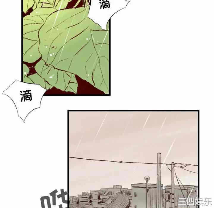 第79张