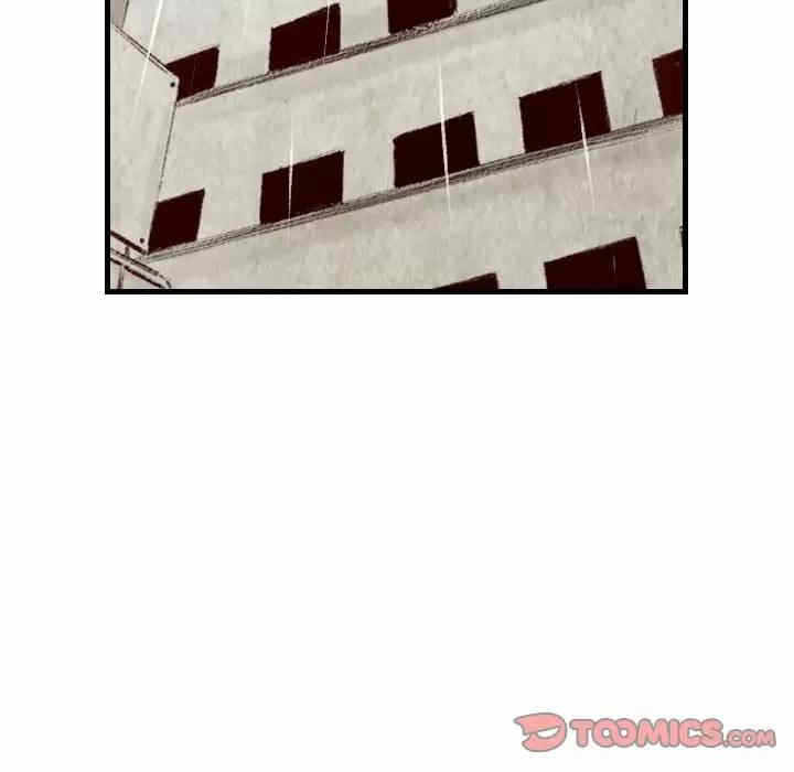 第3张