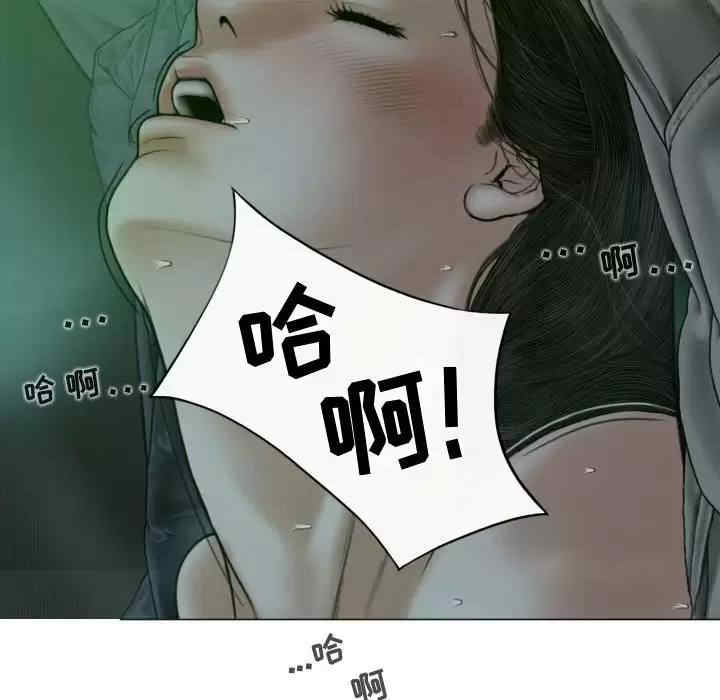 第123张