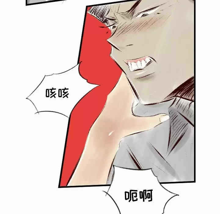 第41张