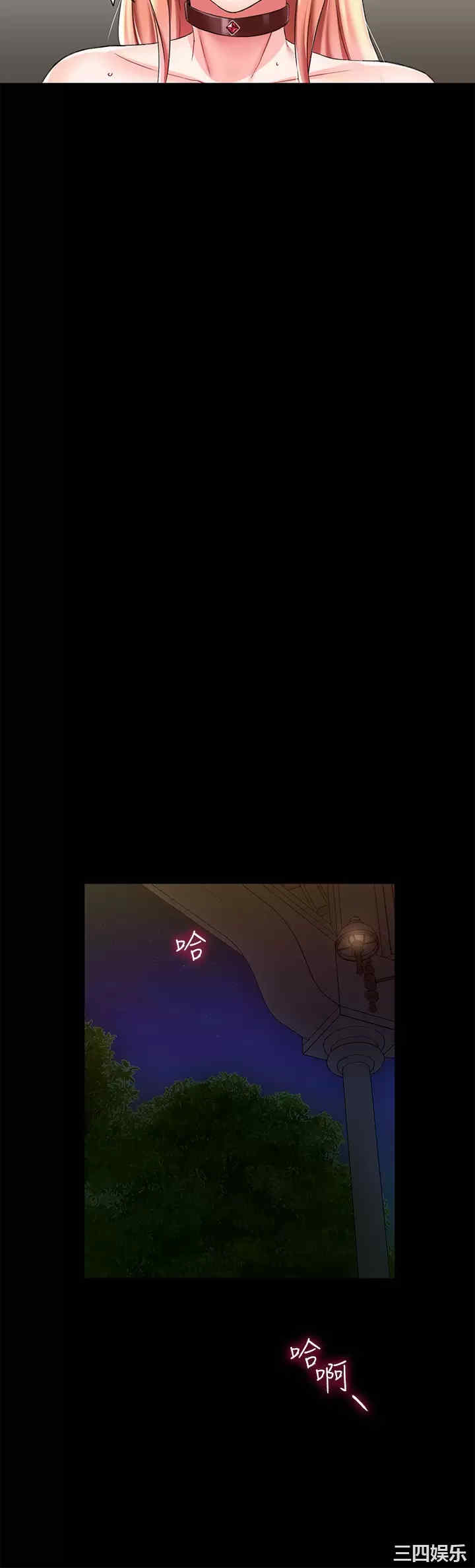 第21张