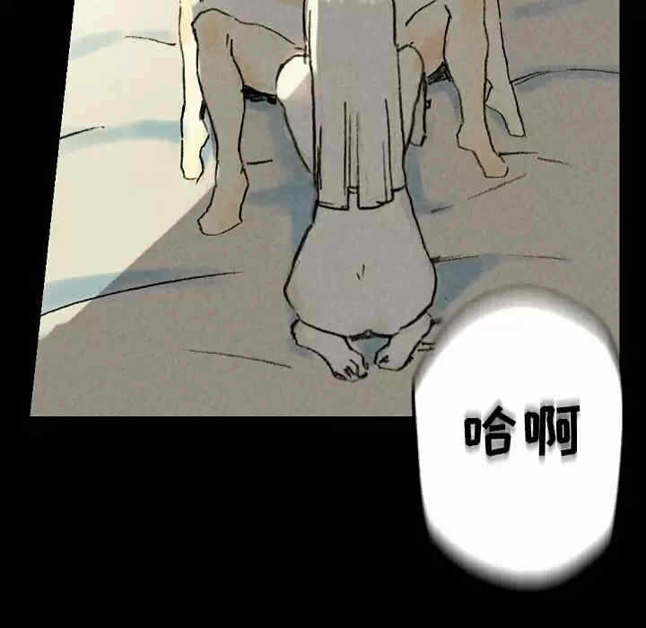 第52张