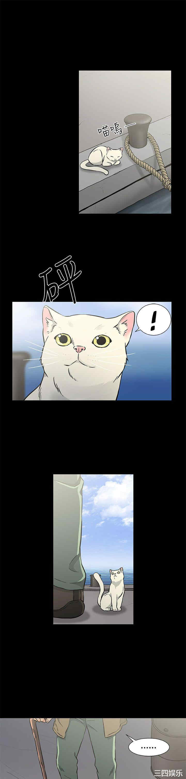 第29张