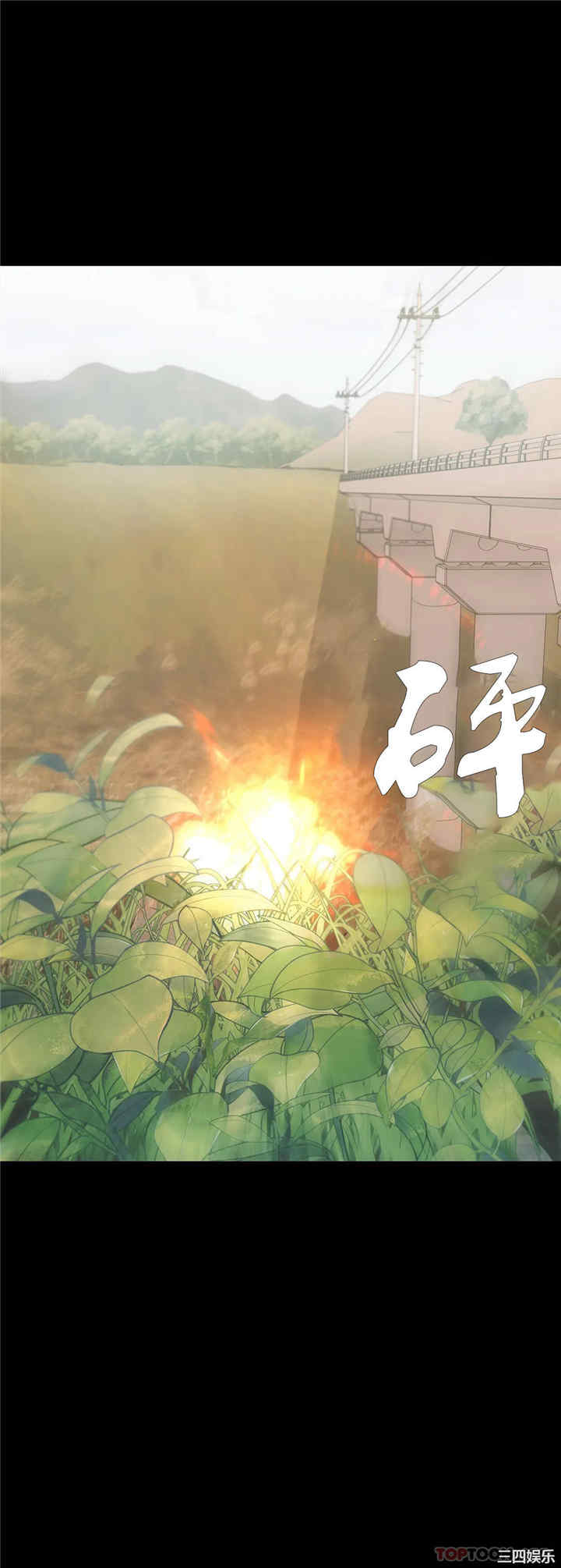第41张