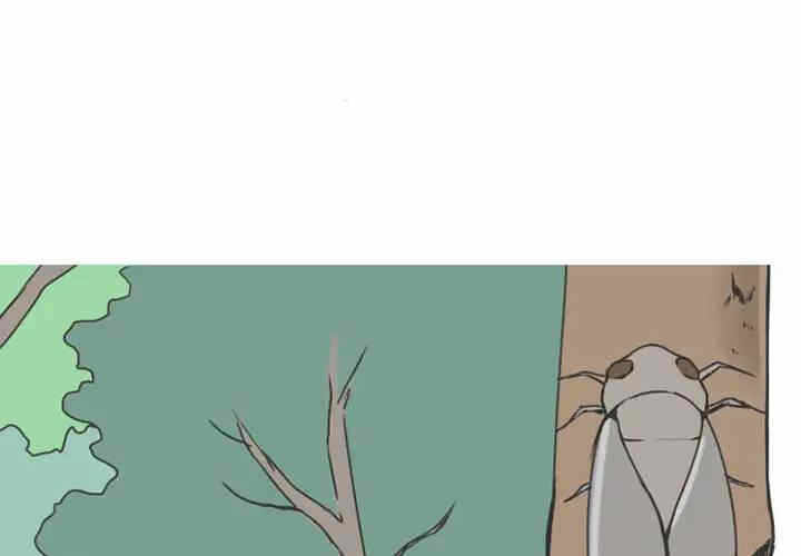 第1张