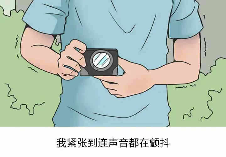 第3张