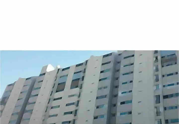 第3张