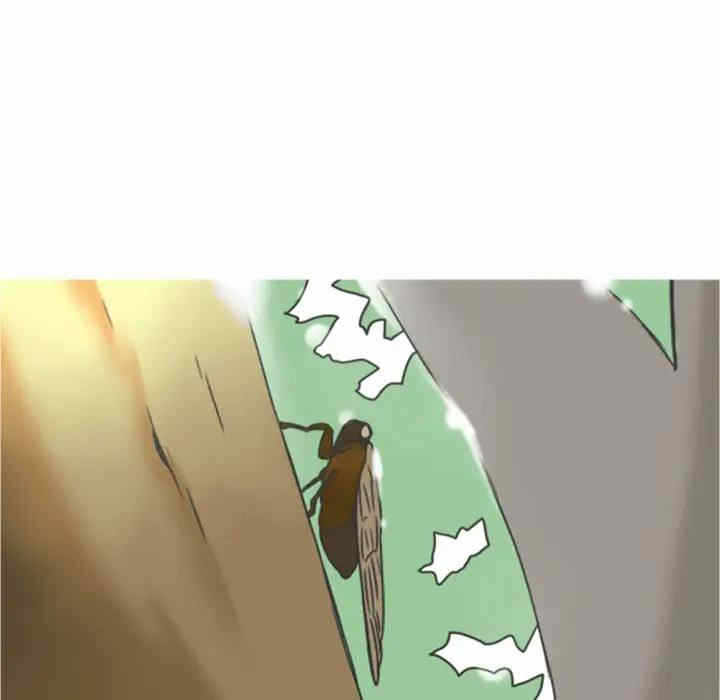 第5张