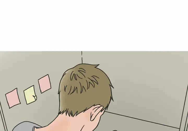 第3张