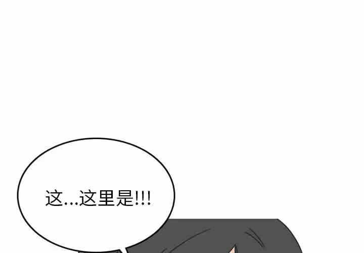 第3张