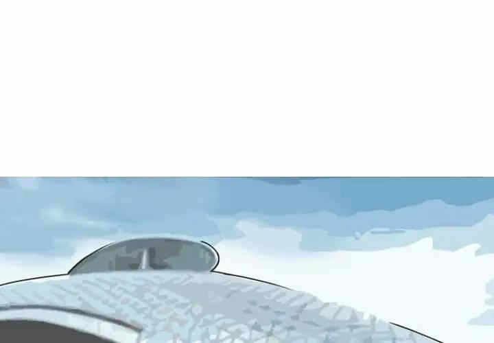 第3张