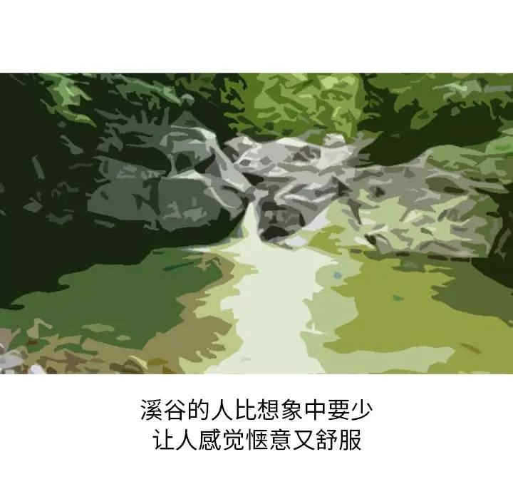 第41张