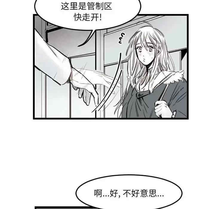 第28张
