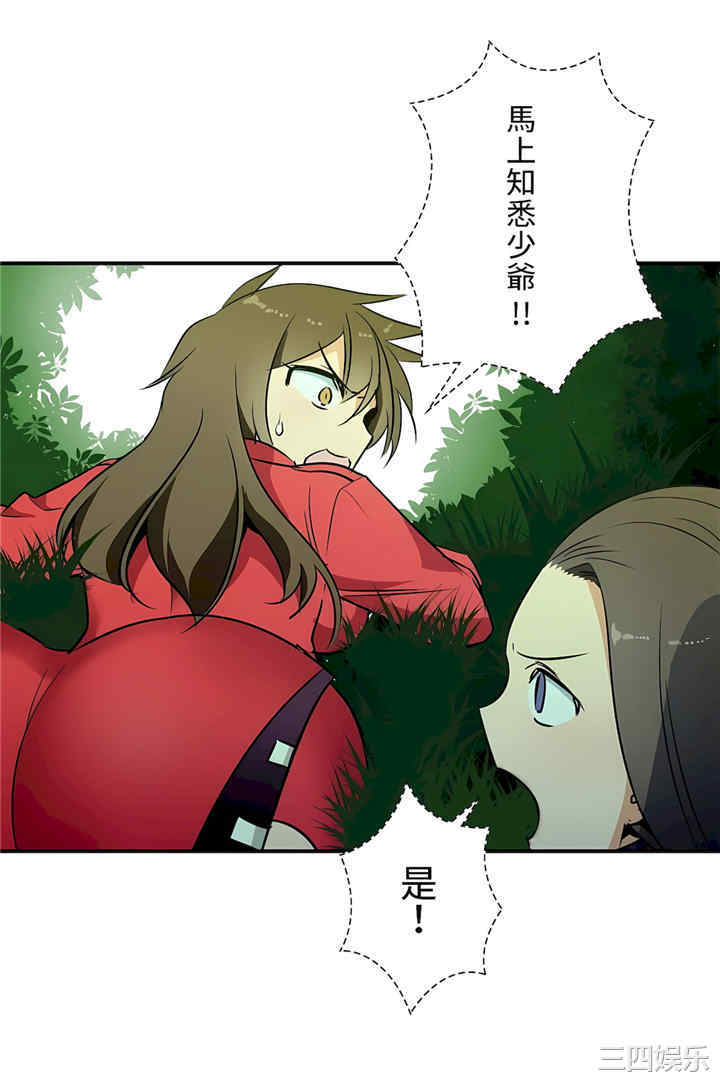 第30张
