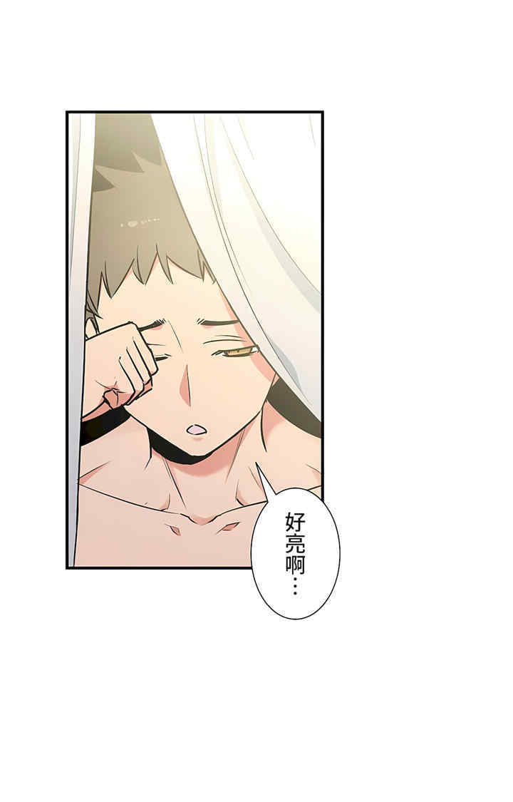 第31张