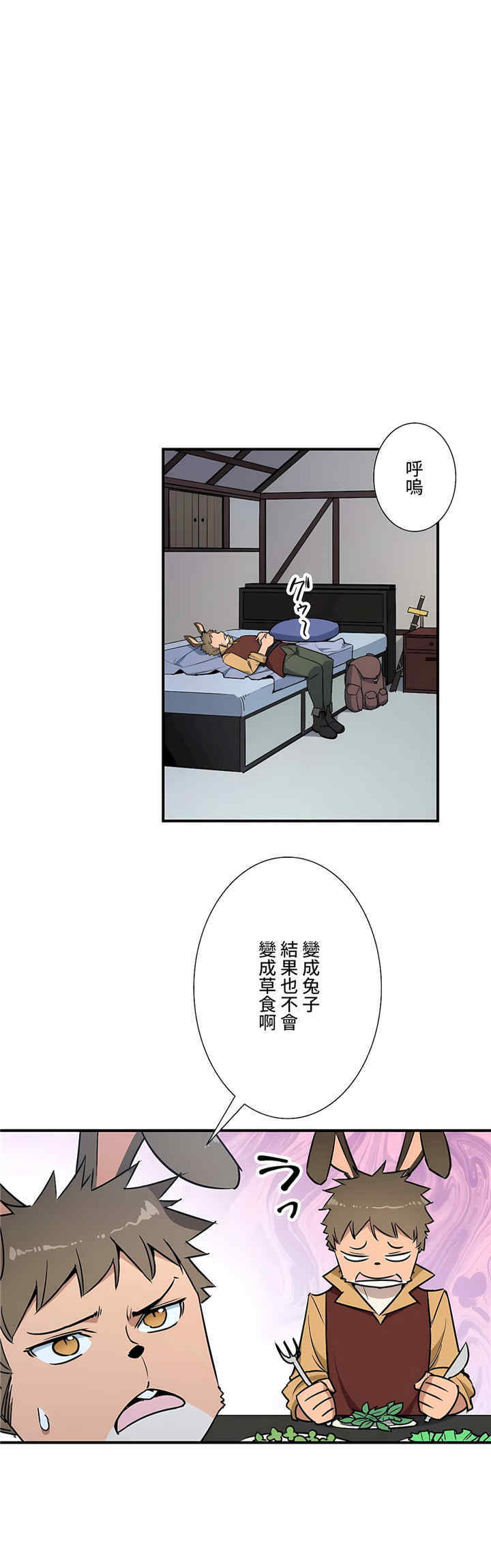 第20张