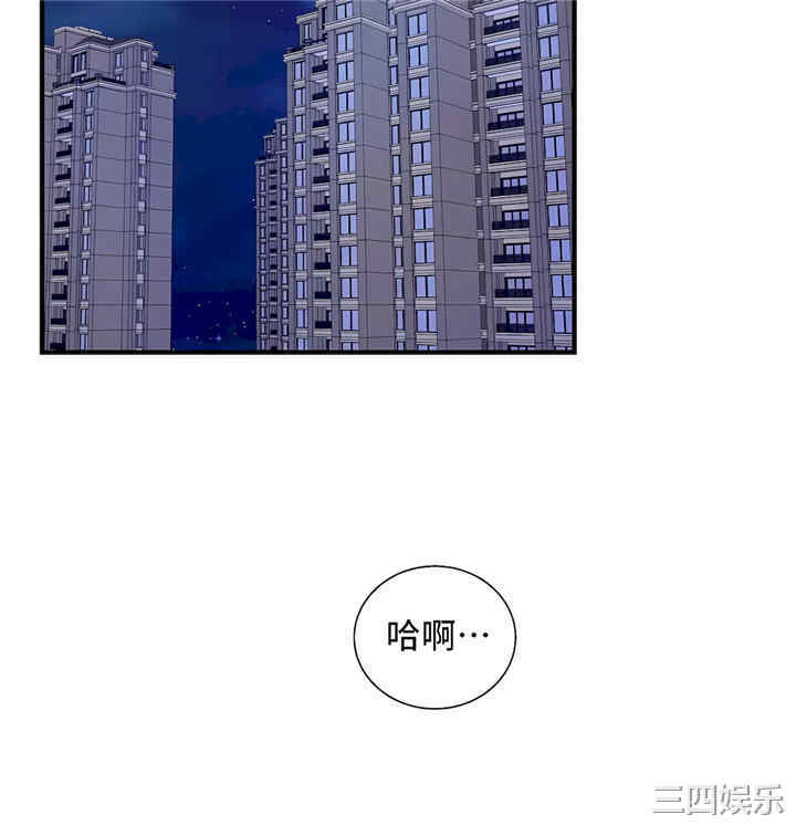 第41张
