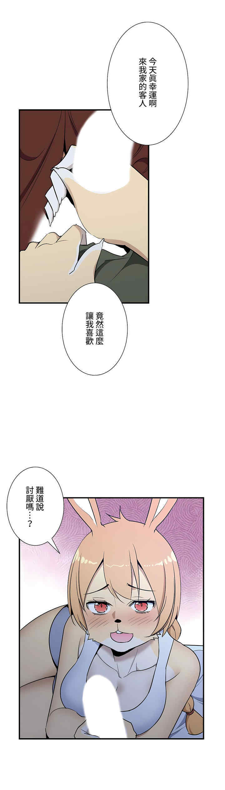 第25张