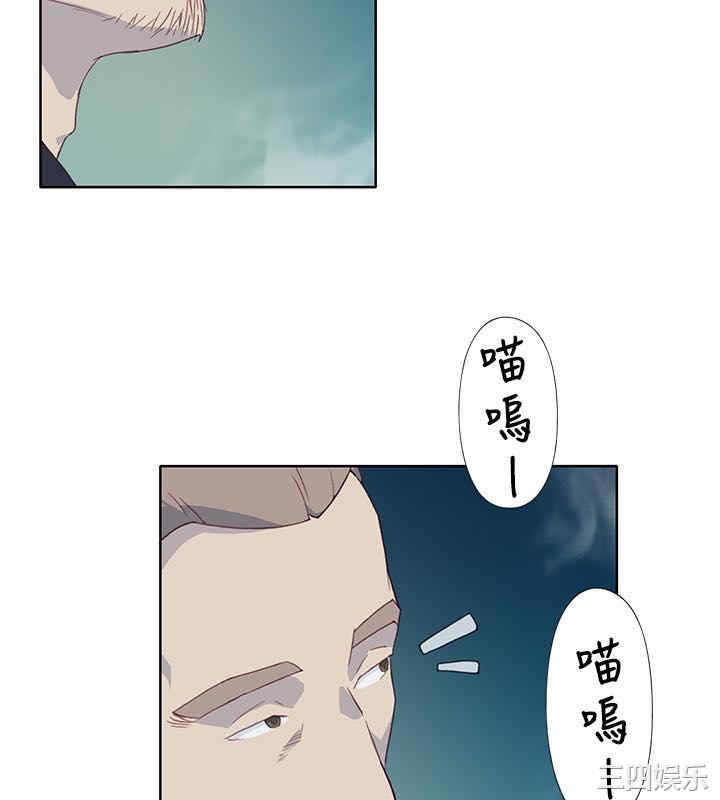 第16张