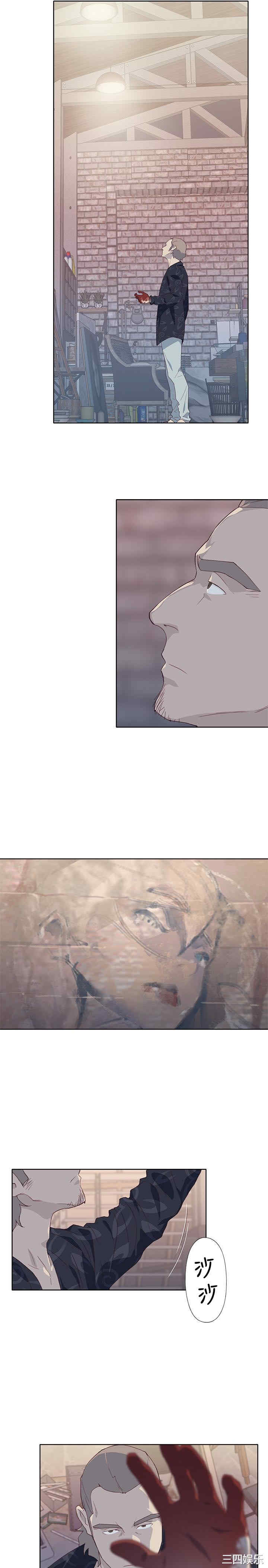 第23张
