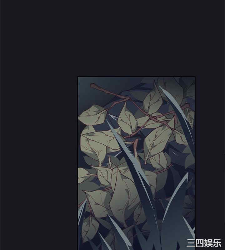第36张
