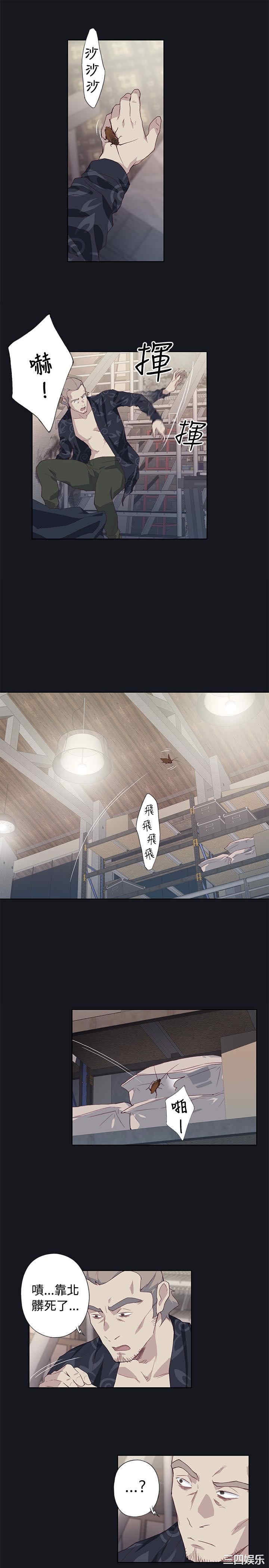 第29张