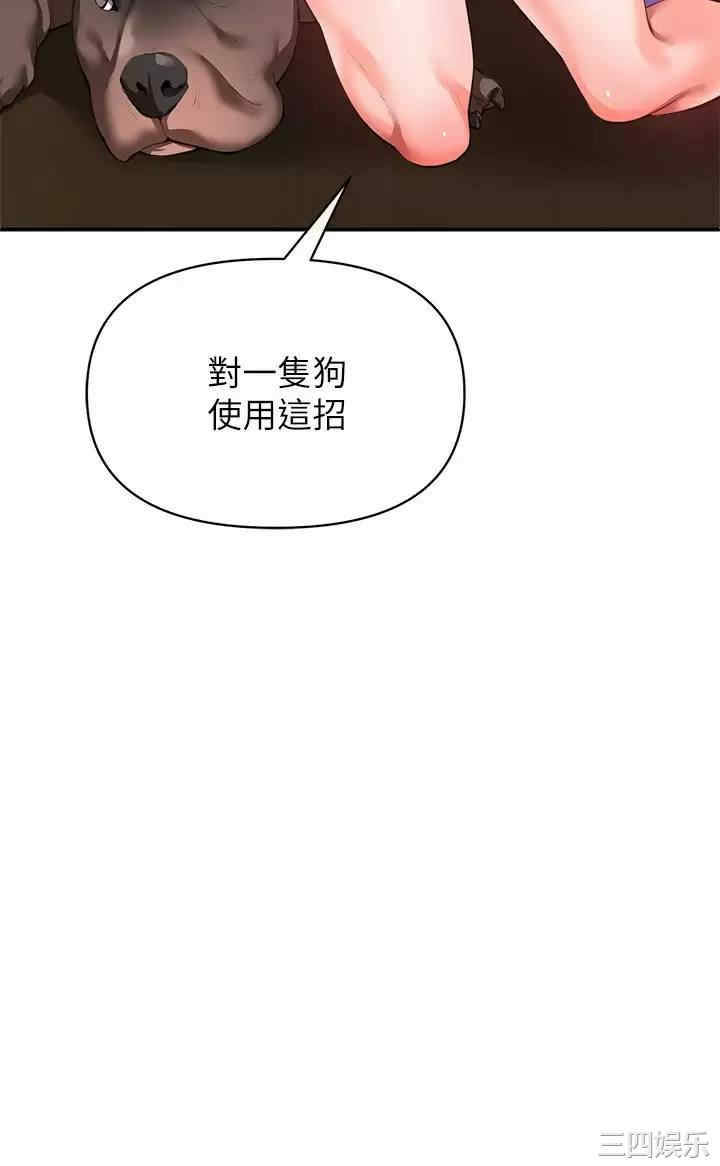 第24张