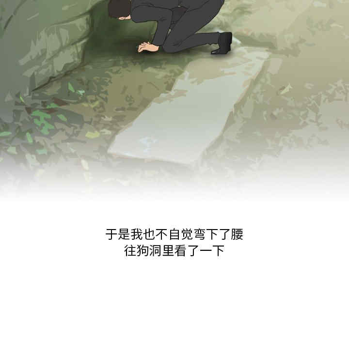 第21张