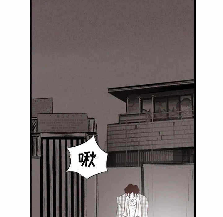 第81张