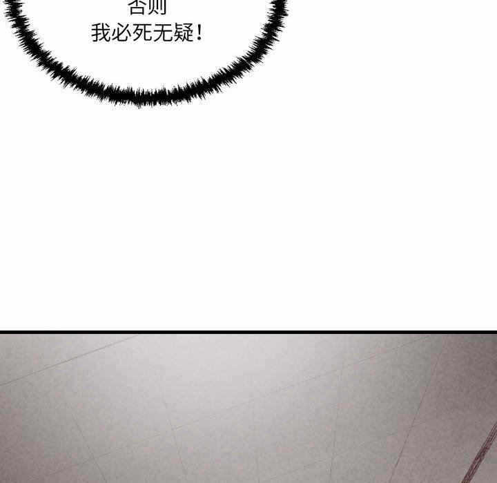 第37张