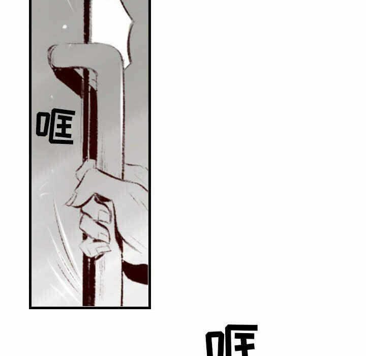 第13张
