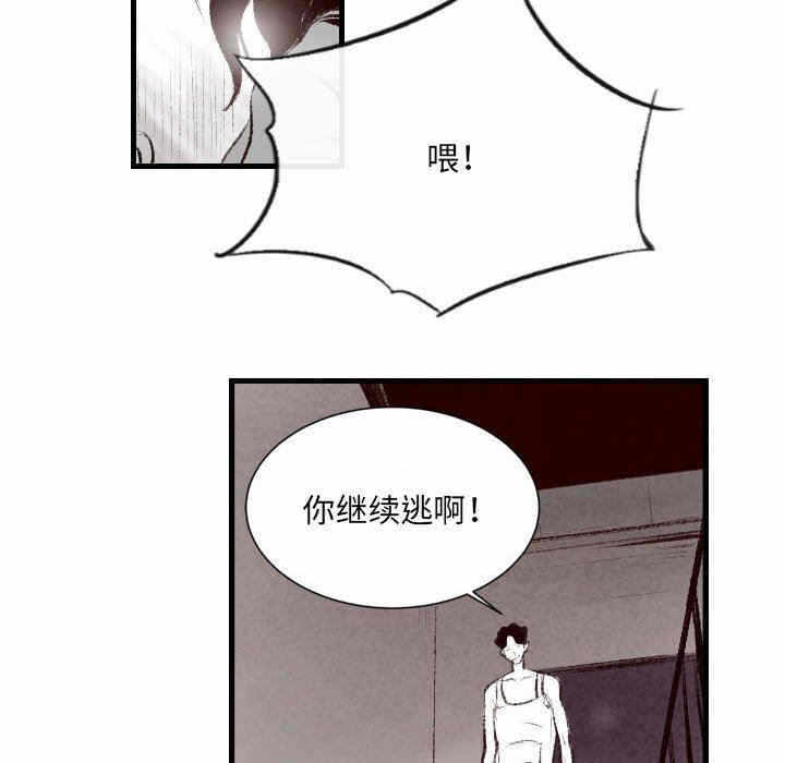 第48张