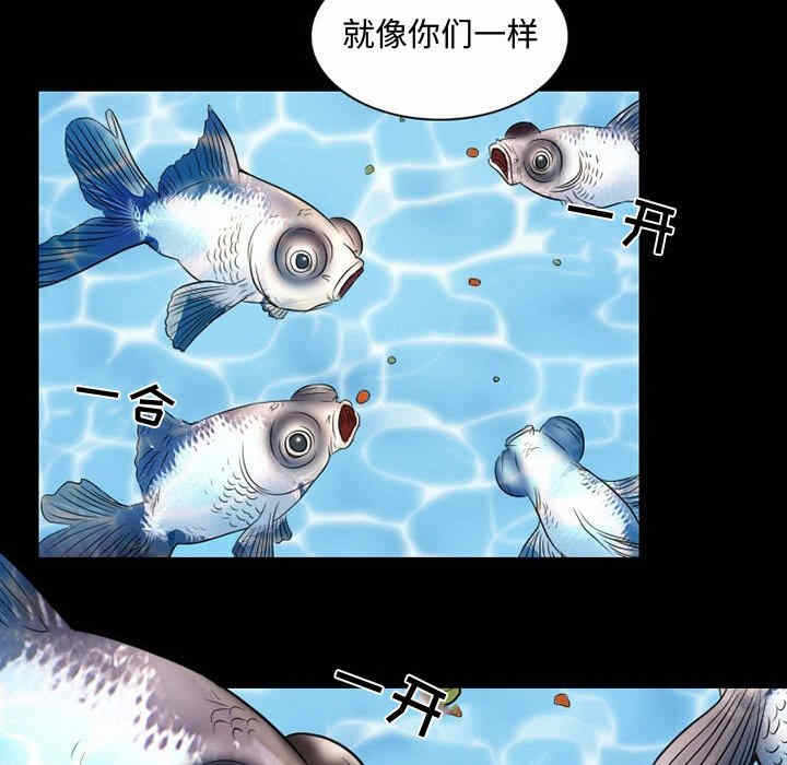 第46张
