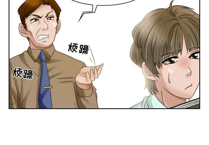 第3张