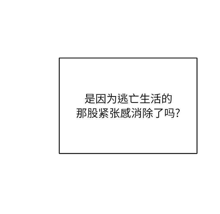 第3张