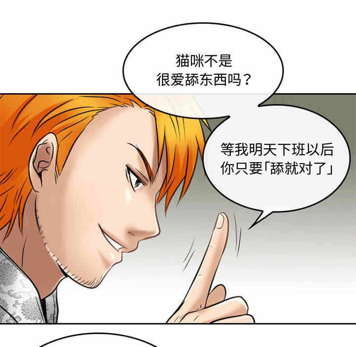 第41张