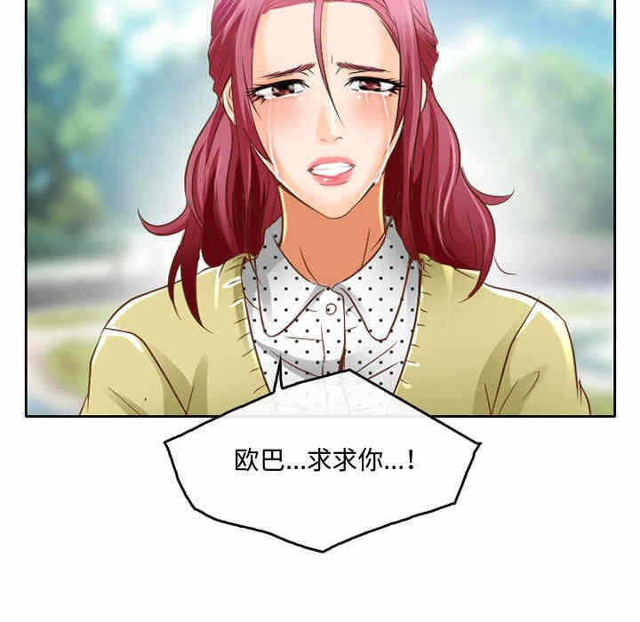 第41张