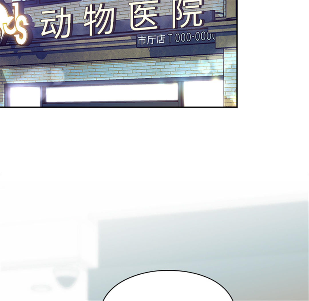 第45张