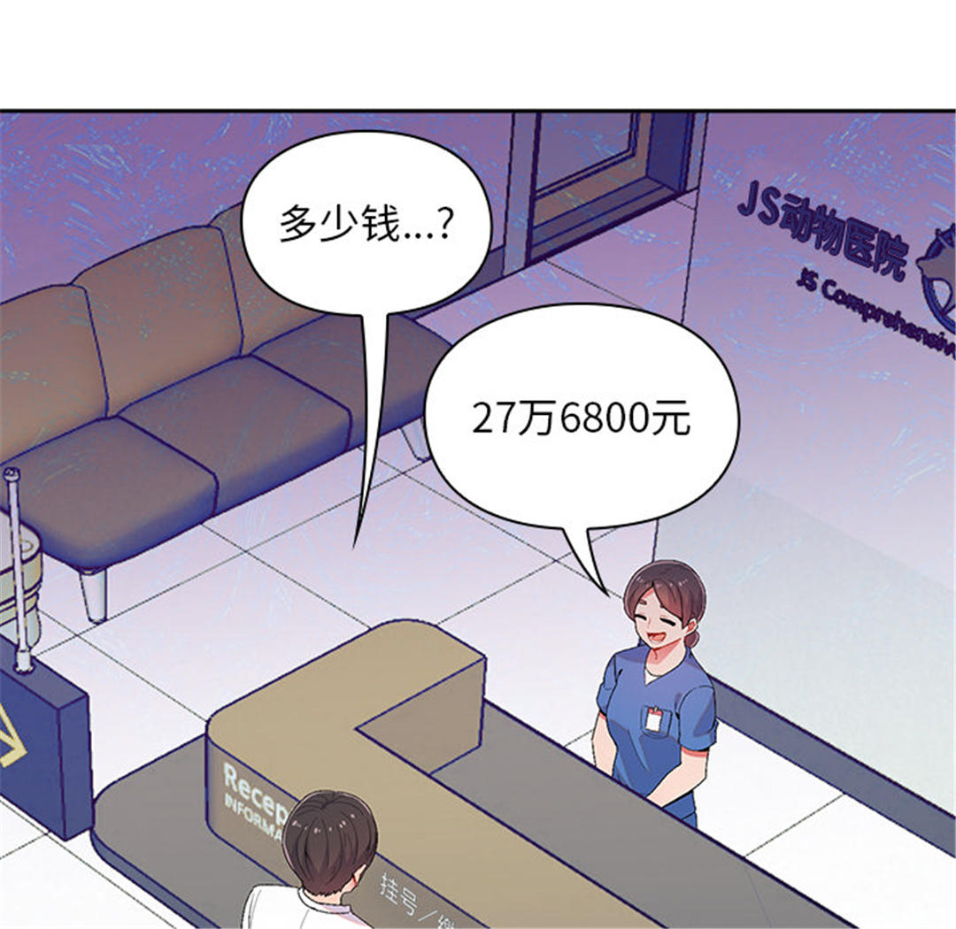 第51张