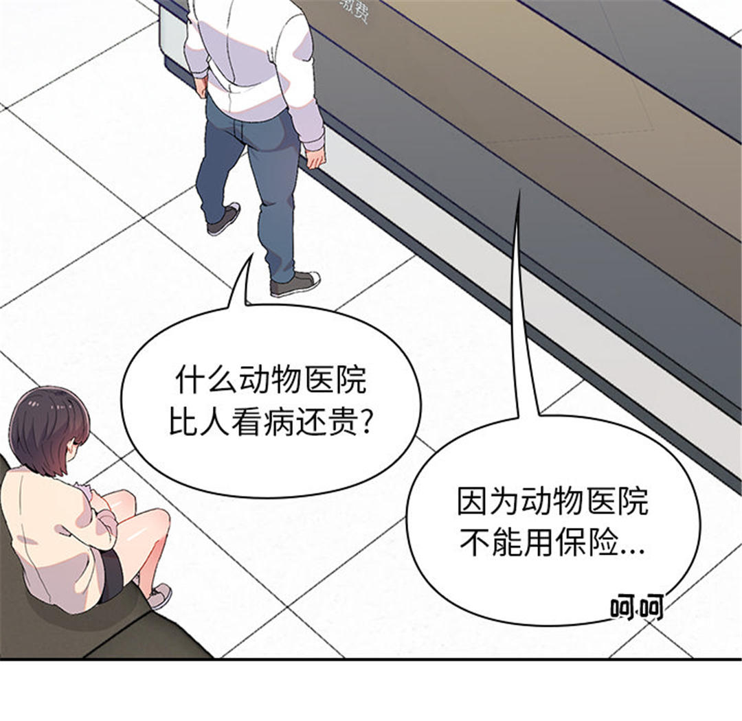 第53张