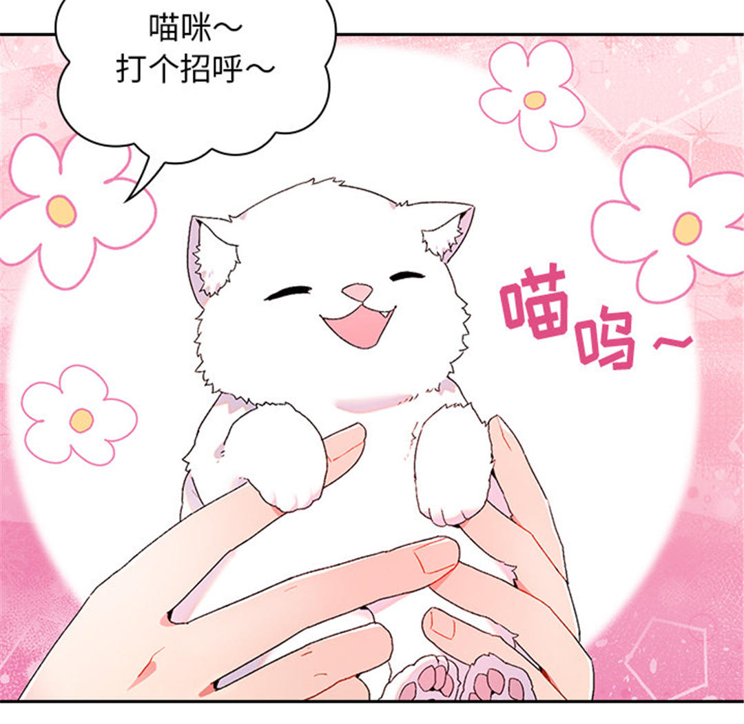 第59张