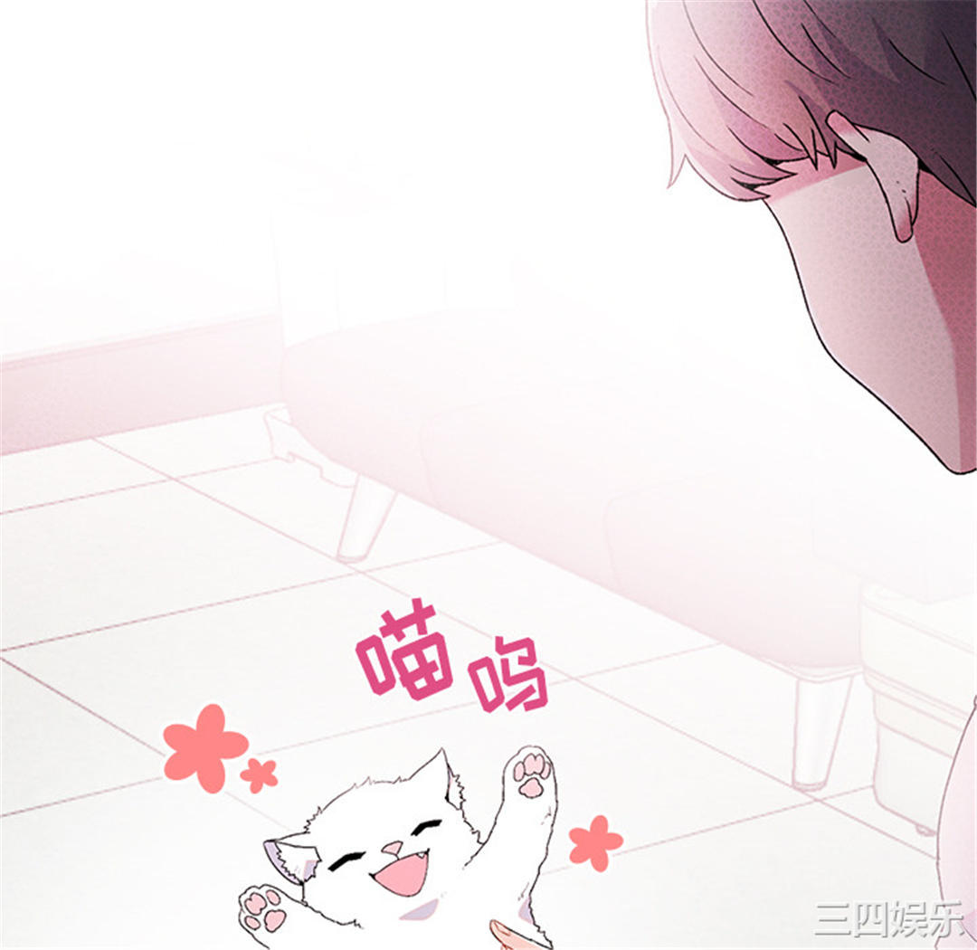 第67张